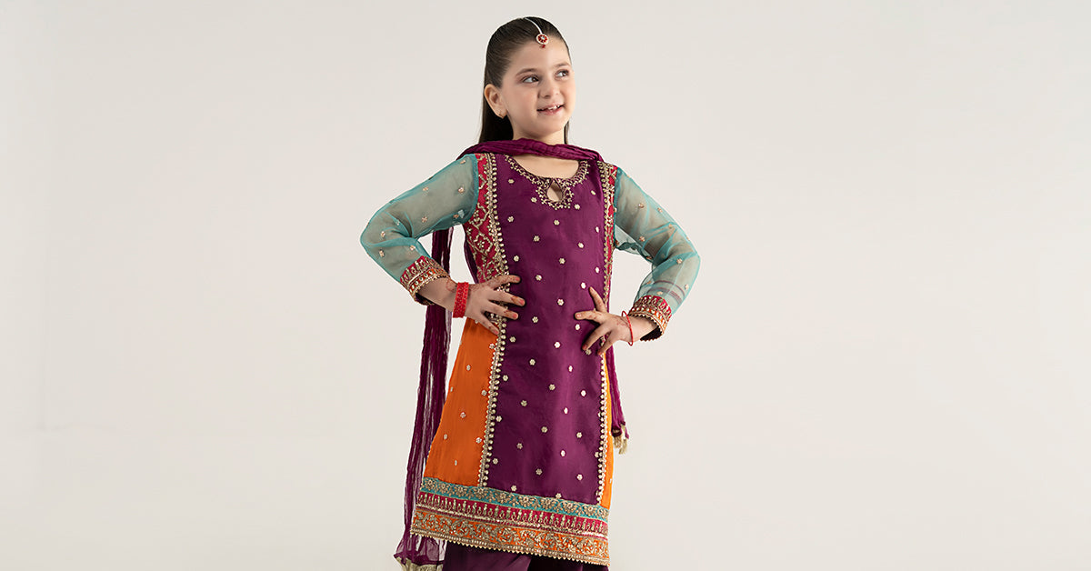 3 Piece Embroidered Poly Organza Suit | MKS-EA25-47