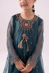 3 piece embroidered organza suit