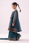 3 piece embroidered organza suit