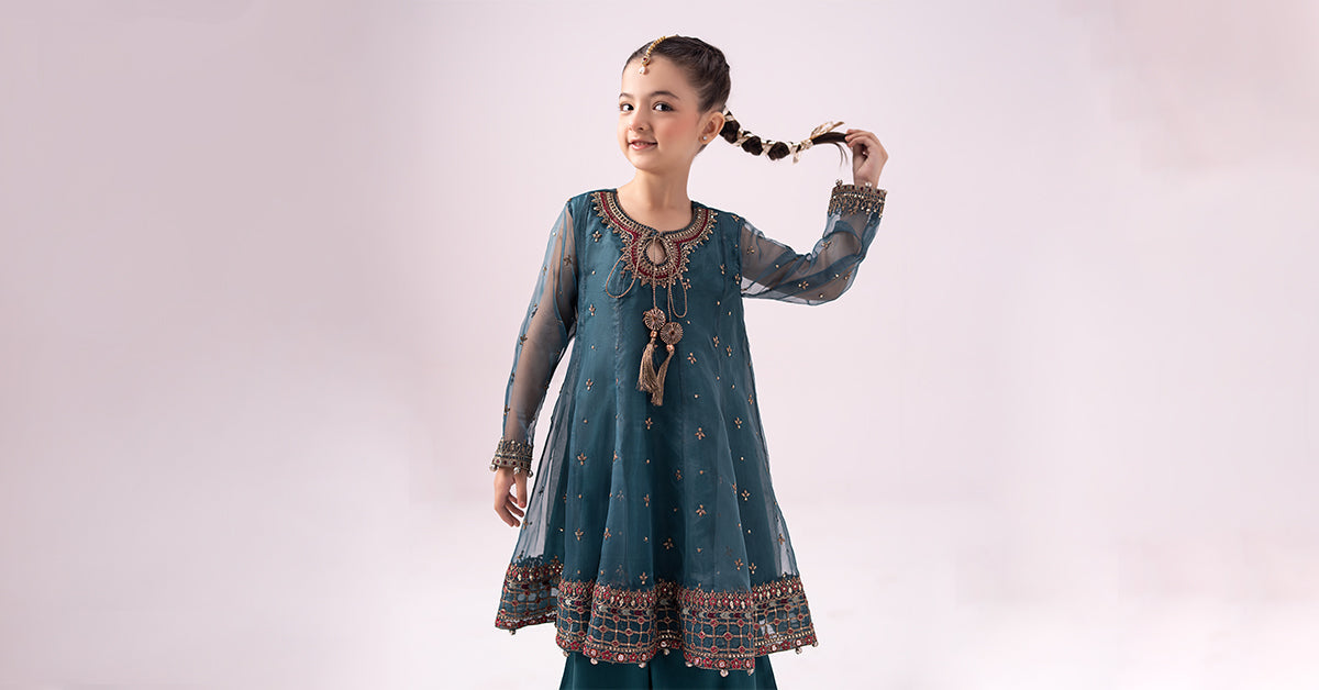 3 piece embroidered organza suit