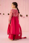 3 Piece Embroidered Organza Suit