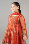 3 Piece Embroidered Poly Organza Suit