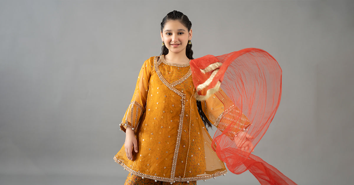 3 Piece Embroidered Poly Organza Suit