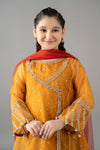 3 Piece Embroidered Poly Organza Suit