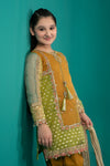 3 Piece Embroidered Organza Suit