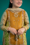 3 Piece Embroidered Organza Suit