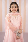 3 Piece Embroidered Organza Suit