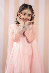 3 Piece Embroidered Organza Suit