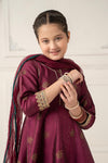 3 Piece Embroidered Polyester Net Suit