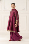 3 Piece Embroidered Polyester Net Suit