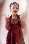 3 Piece Embroidered Organza Suit