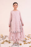 2 Piece Embroidered Organza Suit
