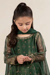 3 Piece Embroidered Cotton Net Suit