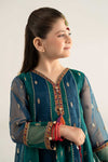 3 Piece Embroidered Poly Organza Suit