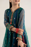3 Piece Embroidered Poly Organza Suit