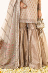 3 Piece Embroidered Organza Suit