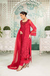 3 Piece Embroidered Organza Suit