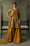 3 Piece Embroidered Net Suit