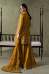3 Piece Embroidered Net Suit
