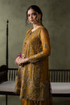 3 Piece Embroidered Net Suit