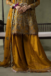 3 Piece Embroidered Net Suit