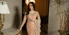 Embroidered Chiffon Saree