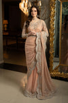 Embroidered Chiffon Saree