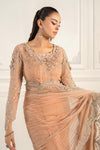 Embroidered Chiffon Saree