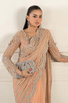Embroidered Chiffon Saree