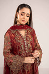 3 Piece Embroidered Organza Suit