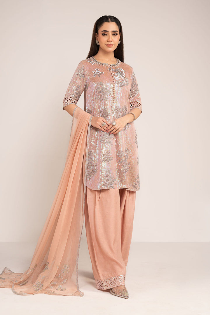 3 Piece Embroidered Chiffon Suit All Products SFE2606-ESM-PNK