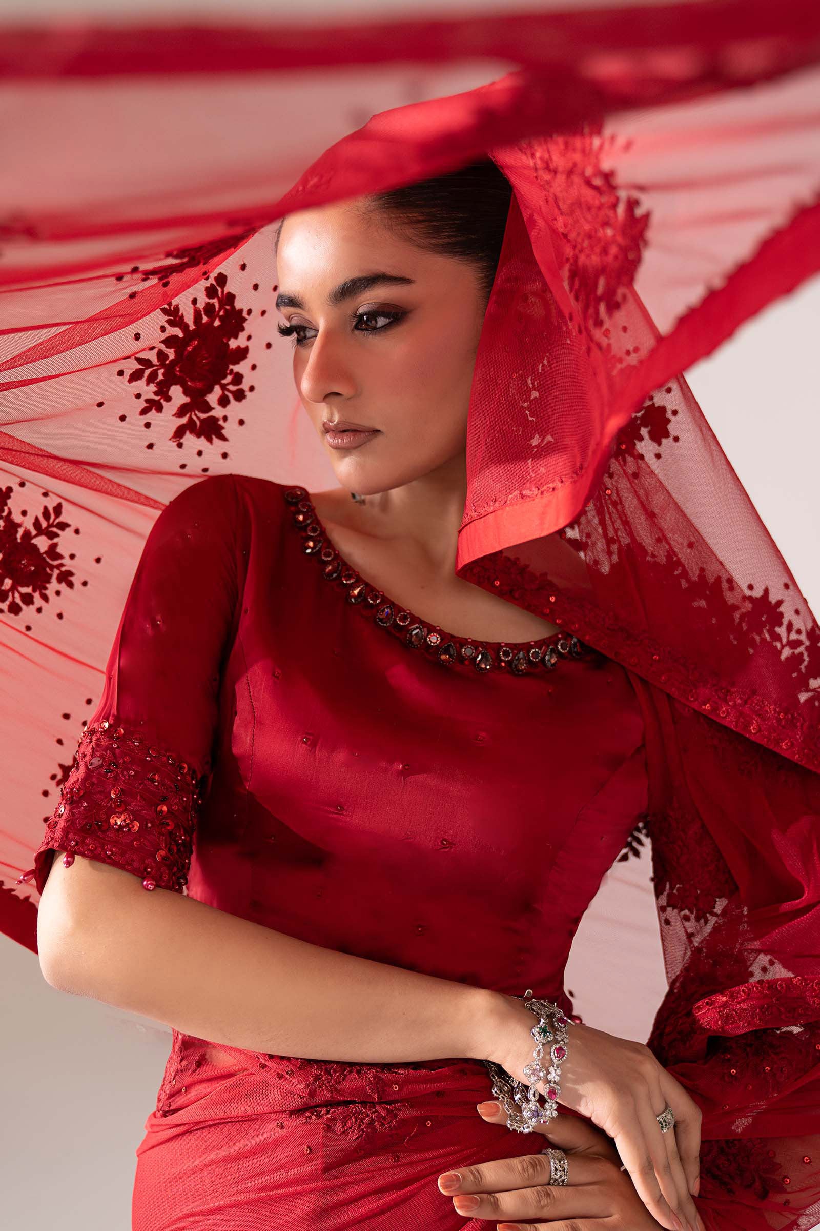 Embroidered Chiffon Saree