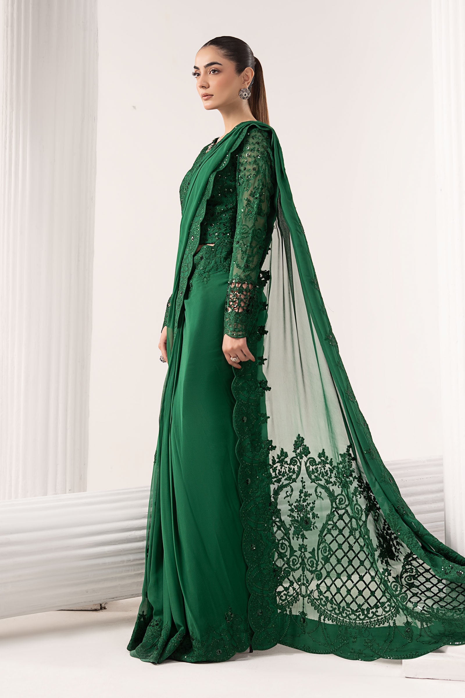 Embroidered Chiffon Saree