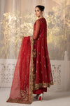 3 Piece Embroidered Organza Suit