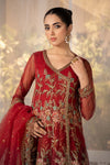 3 Piece Embroidered Organza Suit