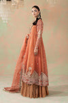 3 Piece Embroidered Organza Suit