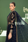 3 Piece Embroidered Net Saree