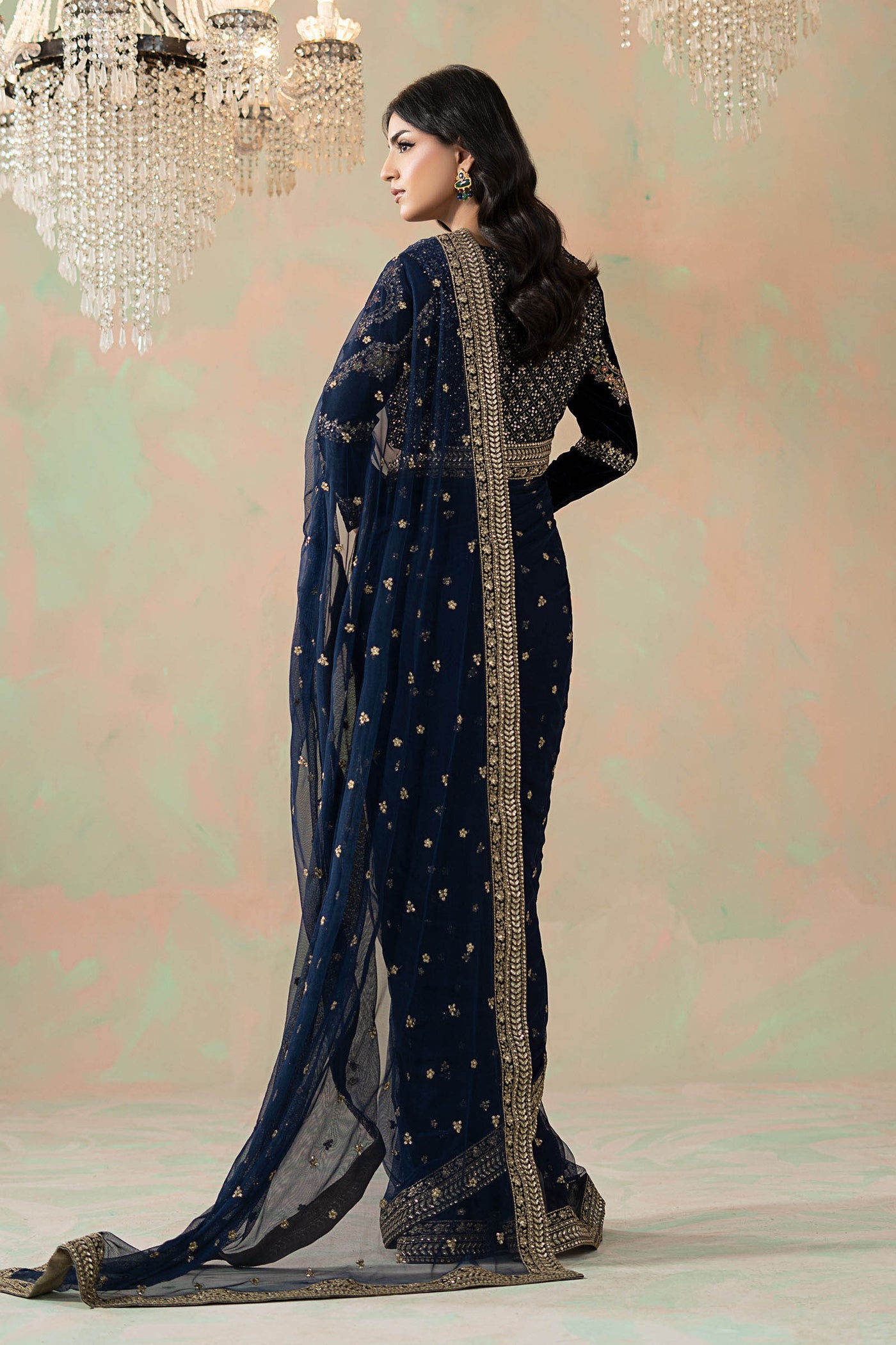 Embroidered Net Saree
