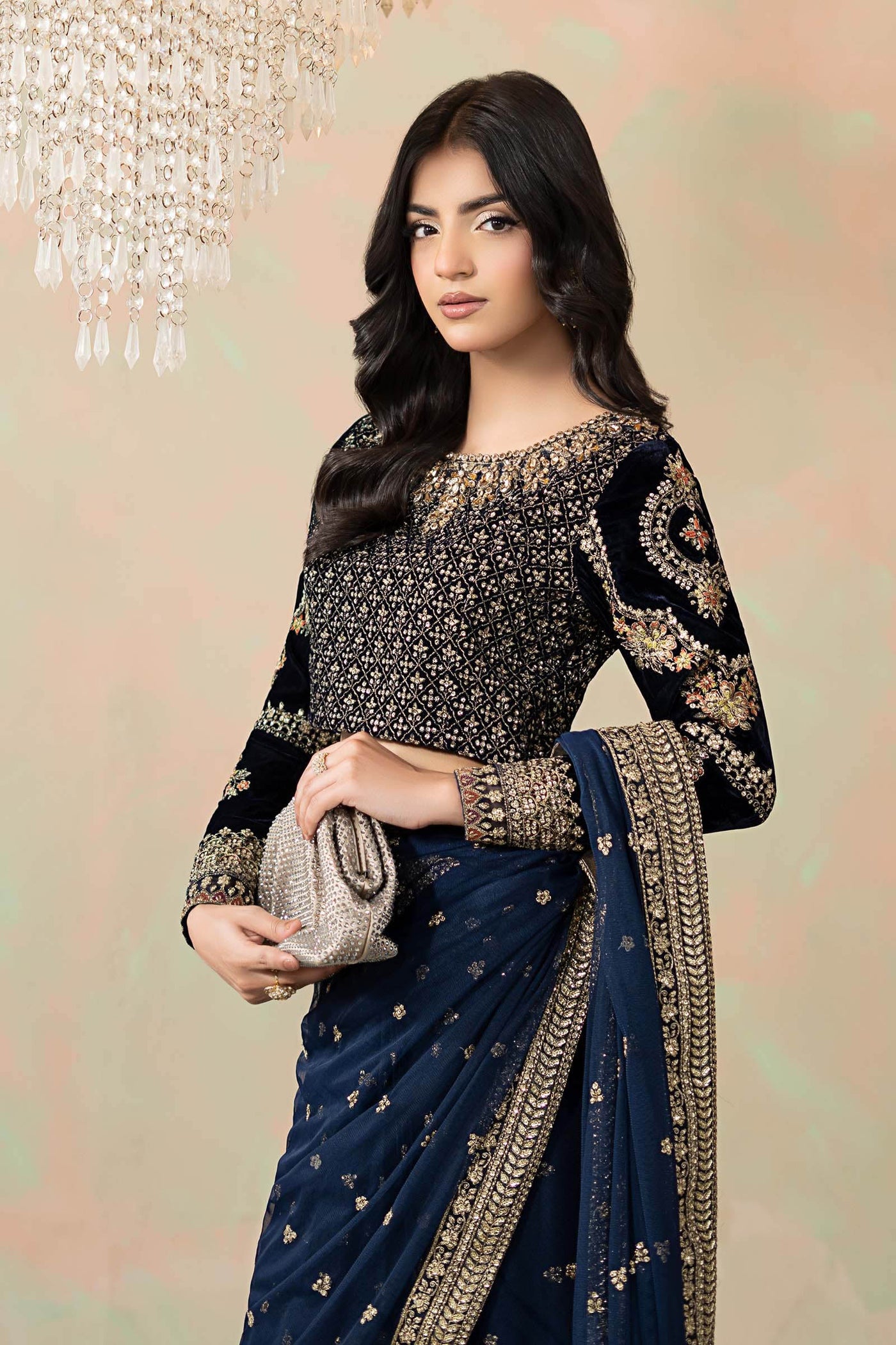 Embroidered Net Saree