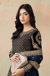 Embroidered Net Saree