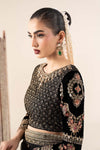 Embroidered Net Saree