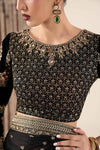 Embroidered Net Saree
