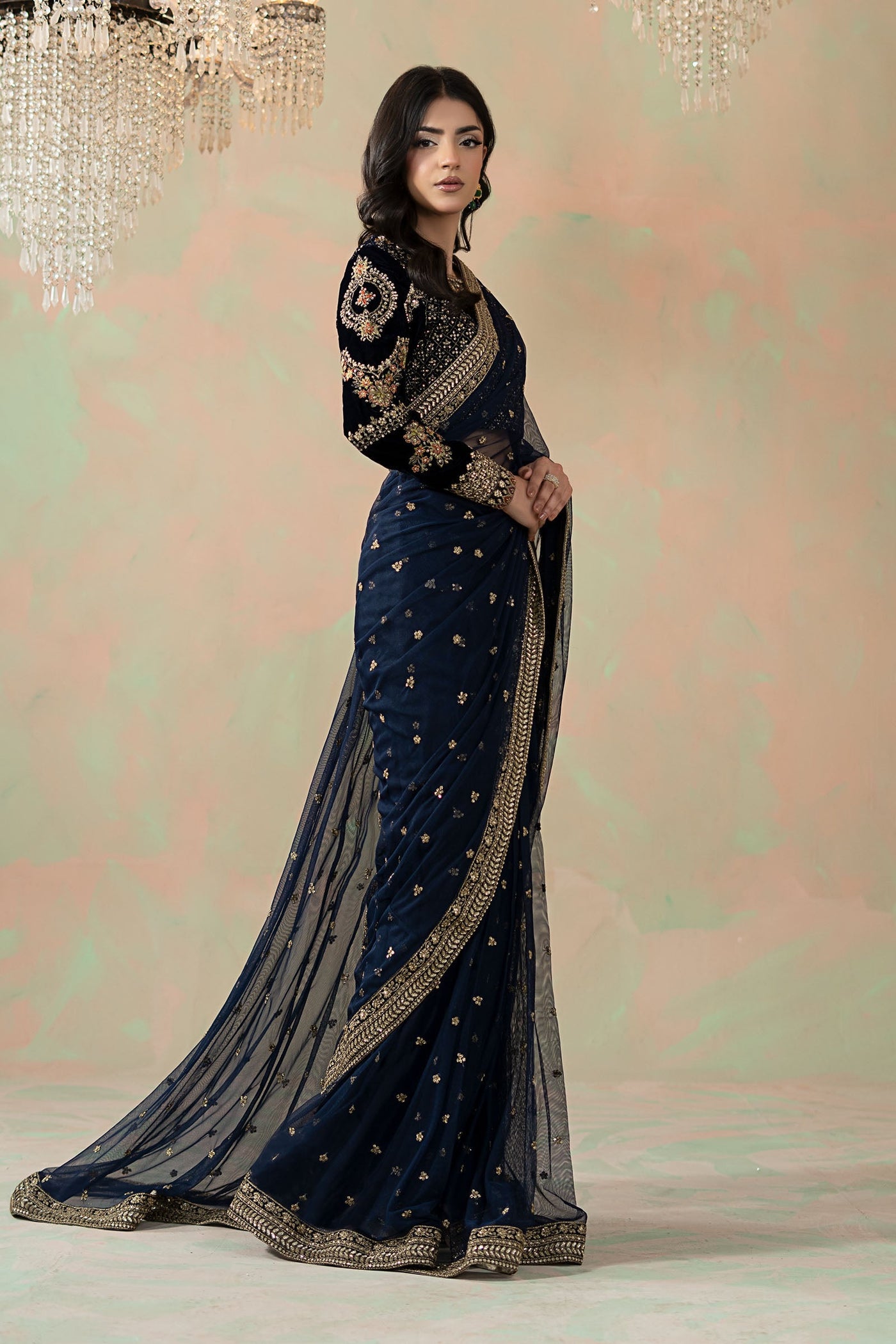 Embroidered Net Saree