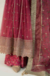3 Piece Embroidered Net Suit