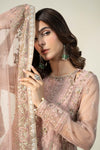 3 Piece Embroidered Organza Suit