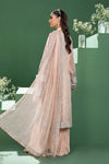 3 Piece Embroidered Organza Suit