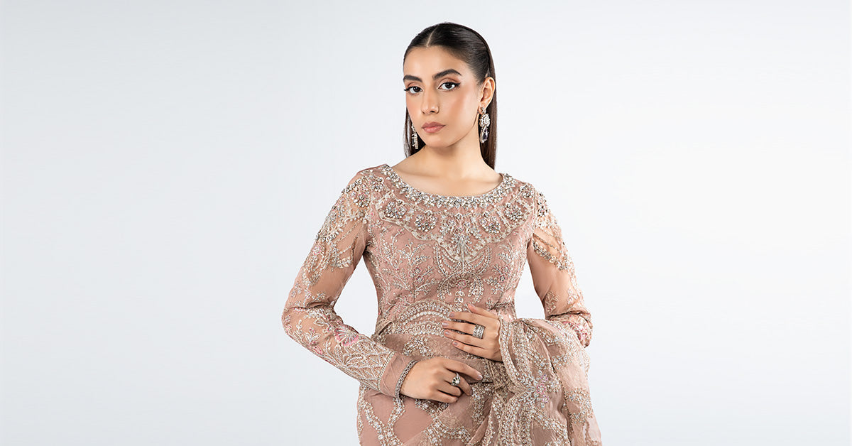 Embroidered Organza Saree