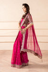 Embroidered Chiffon Saree