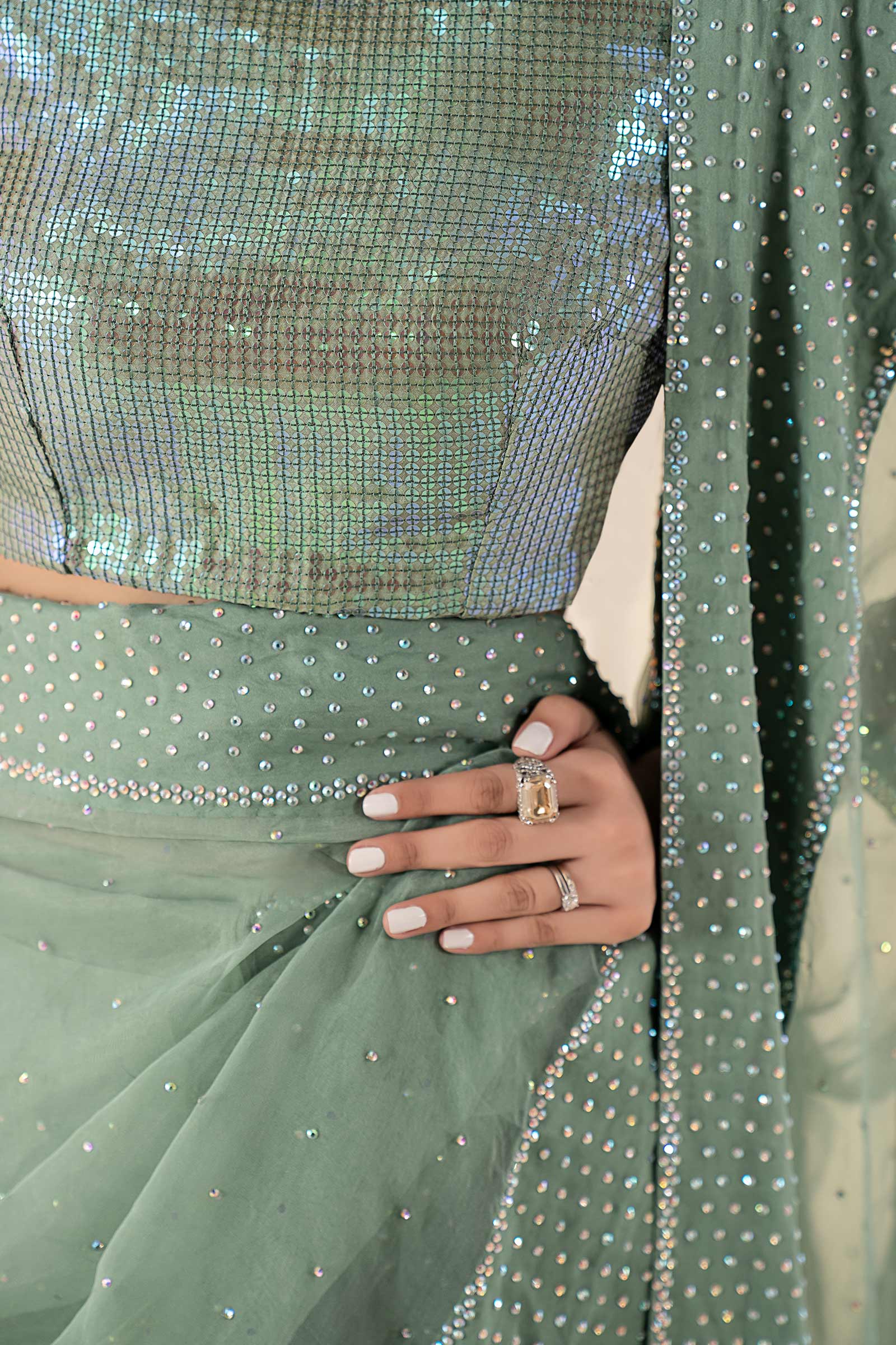 Embellished Organza Saree