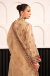 3 Piece Embroidered Tissue Suit